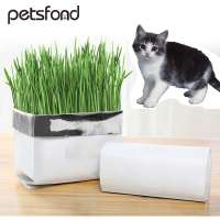 Soilless cat grass hydroponic cat grass